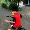 fikriardiansyah