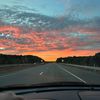aly_9172