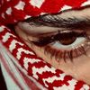 marim_t16