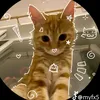 hannie6424