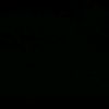 monkey.d.sal27