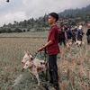 bujang.marenten