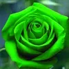 hunh.cm.tin