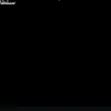 zanv_l