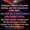 mis_lia3