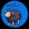 aali.eibo
