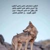 alsh507re_fm