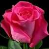 user5933161510436