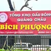 Xưởng gấu Bích Phượng