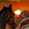 hala.b..h