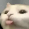 theirishbadger