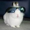 yourcooltiktoks
