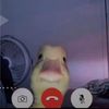 richard_richard222