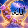 user26681213691587