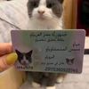 user6681837843128