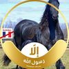 user3354881410796