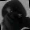 malak.amr244