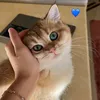 zahraa27281