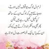 parwezkhan113