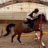 tosiaaaa_equestrian