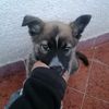 angel.yahir.reyes7