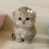 itz_julia.fernandes