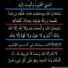 cheikhounatall25