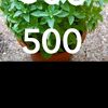 19199900099999s