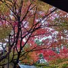 chitose486