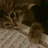noormohammad.28