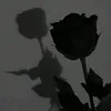 mariafer_tiktok
