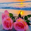imane.amouna772