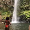 Bruna larissa