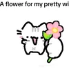 yeungsinhtrc22ngay