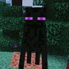 _mr_unicornio