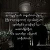 w.y.soe86
