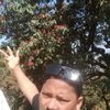 user96718143355293
