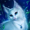 miki_2025lik