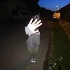 asshwx._4