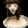 monkeynipples23