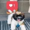 xandrea400