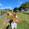 bauti_irms5