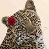 fatma.khattab974