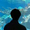 jo.bejo_
