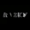 rizkycars