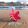 user9500458165872