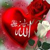 saima6855