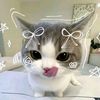 usernoe637
