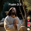 user21virginchristo