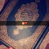 sheekhad12